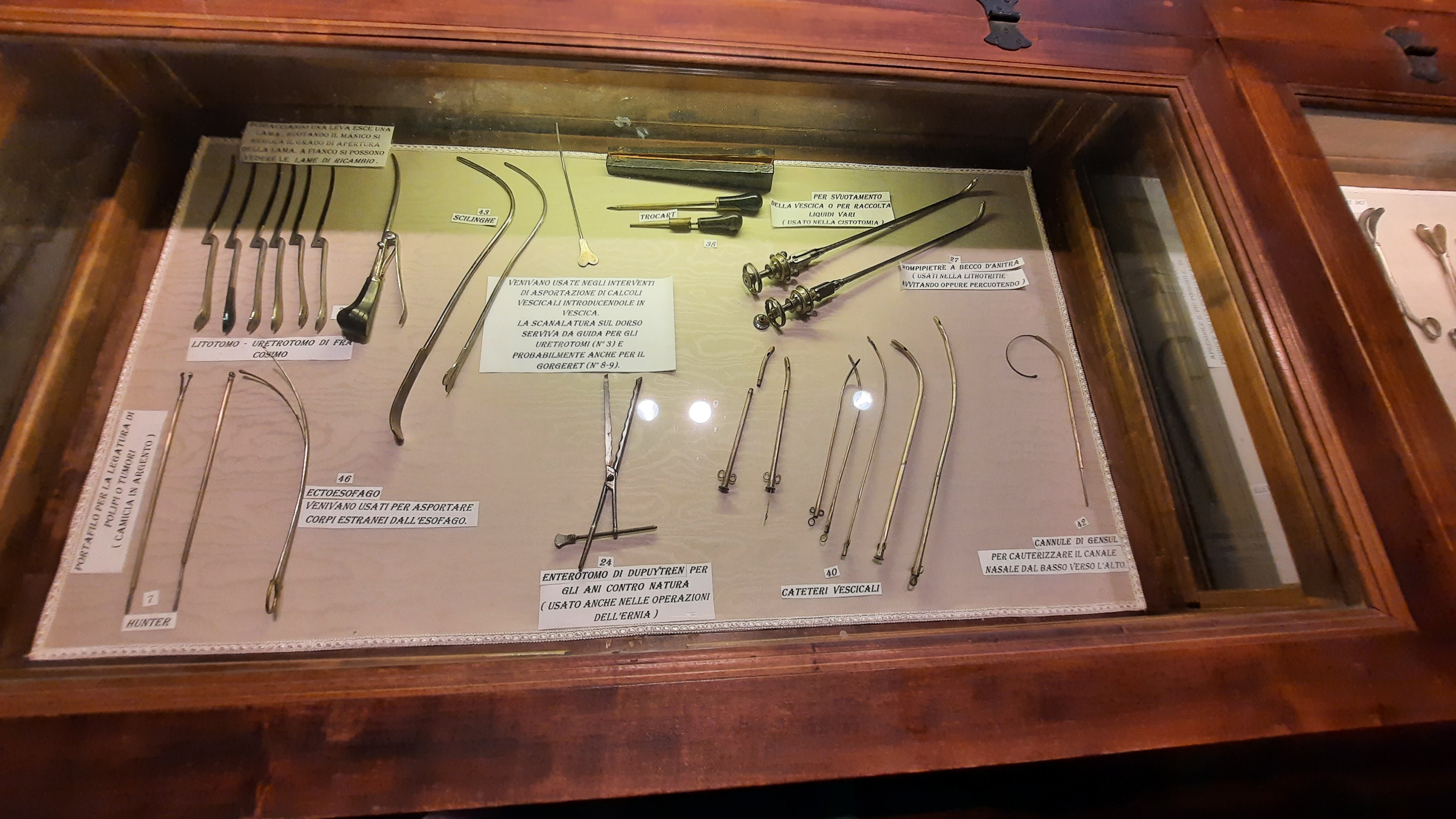 Andrea Vacca Berlinghieri's surgical instruments, Casa-Museo Vaccà Berlinghieri, Montefoscoli - 03.jpg